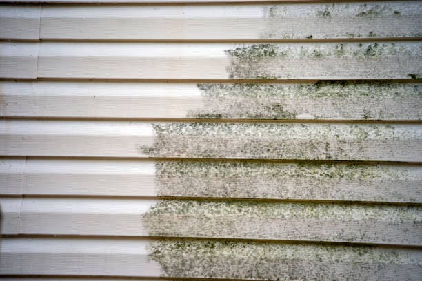 Demolition Debris Removal in Somers Point, NJ